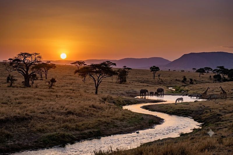 Ruaha sunset with wildlife at river